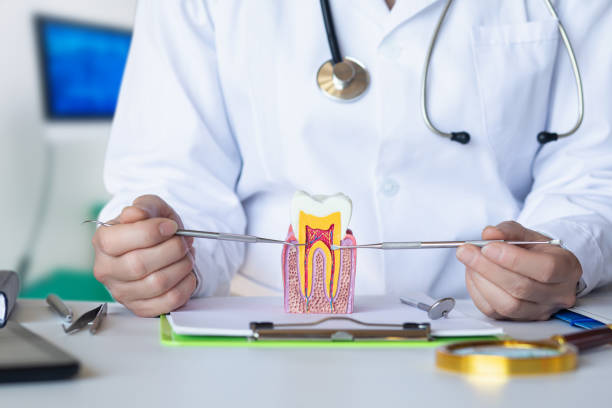 Best Knocked-Out Tooth Emergency  in Bainbridge, OH